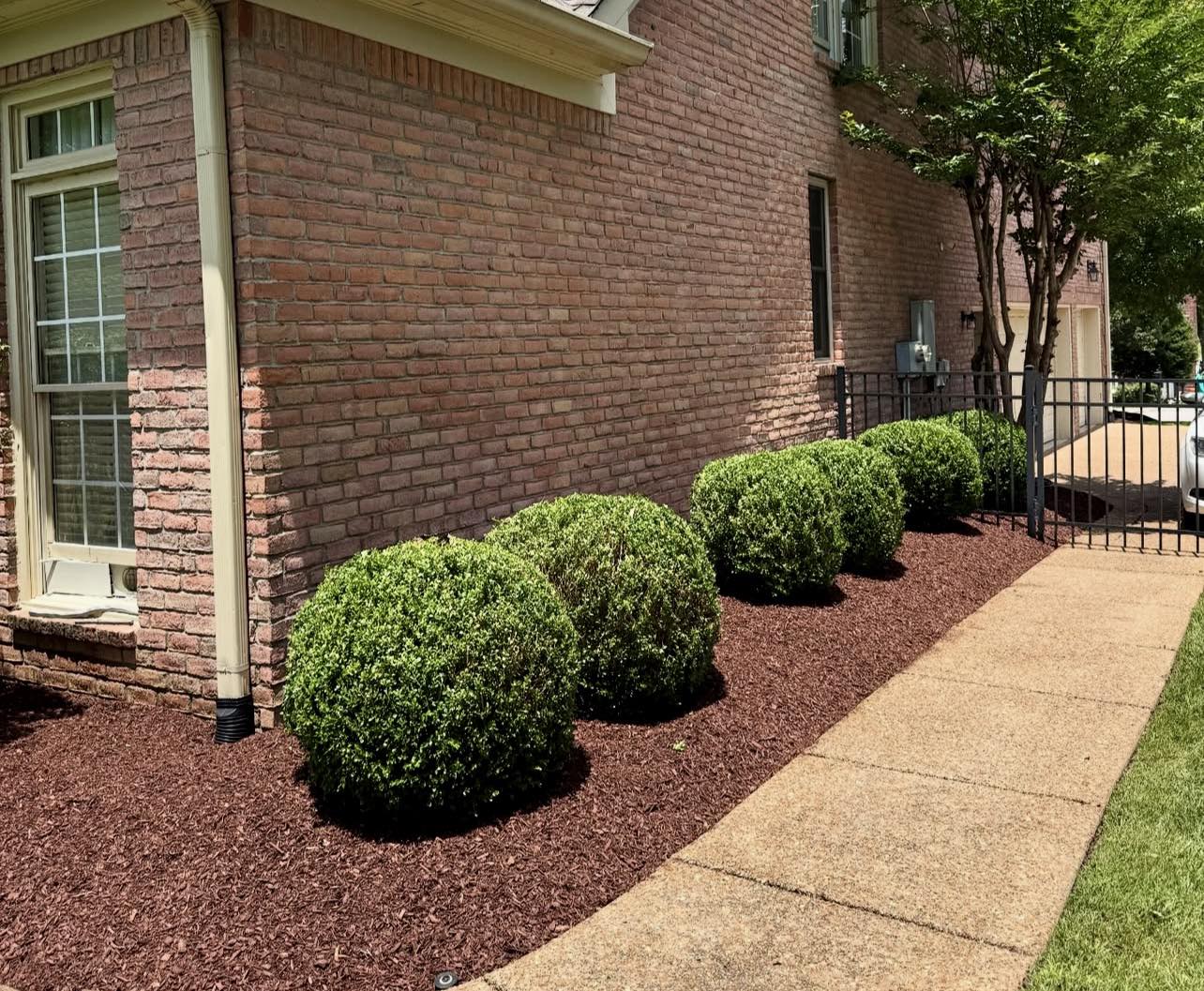 Landscaped mulch bed with plants