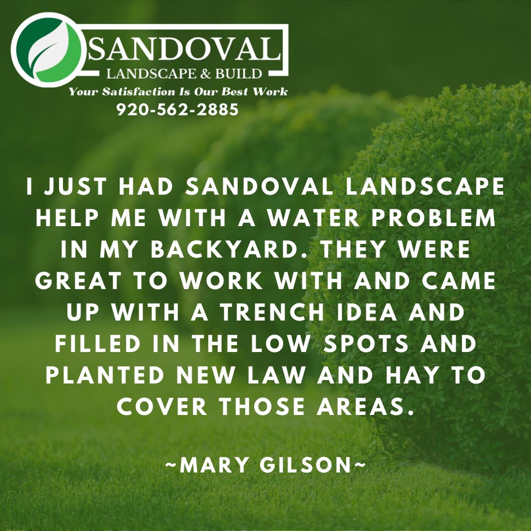 Another local customer review